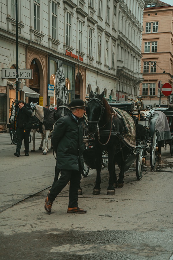 Carruaje y caballos en una calle de Viena — Daniel Mirabal