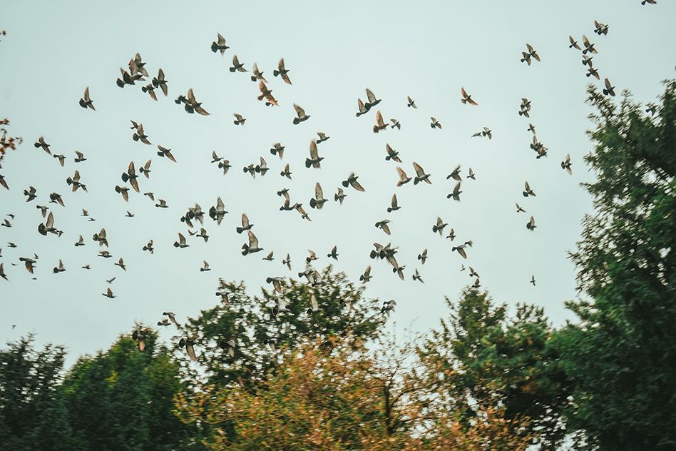 Fotografía adicional 2 — Daniel Mirabal